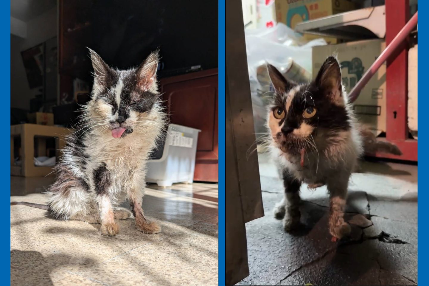 1020%E5%AE%98%E7%B6%B2%E9%A6%96%E5%9C%96