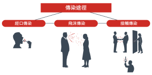 流感常見的傳染途徑包括經口傳染、飛沫傳染、接觸傳染