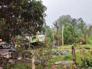 202512 srilanka flood 5